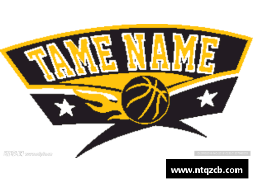 彩名堂官网NBA球队图标大全：全面解析每支球队的标志及其设计风格