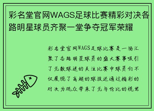 彩名堂官网WAGS足球比赛精彩对决各路明星球员齐聚一堂争夺冠军荣耀