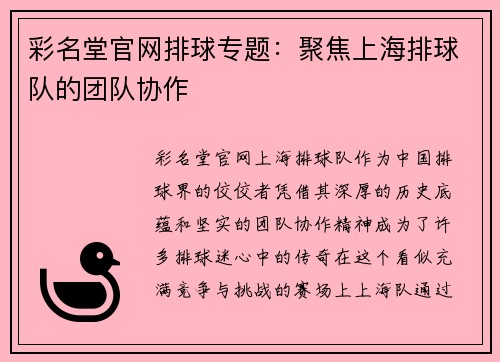 彩名堂官网排球专题：聚焦上海排球队的团队协作